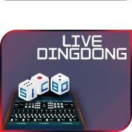 pyb3lv2yn2ew3k8ea32l.idtown12.com